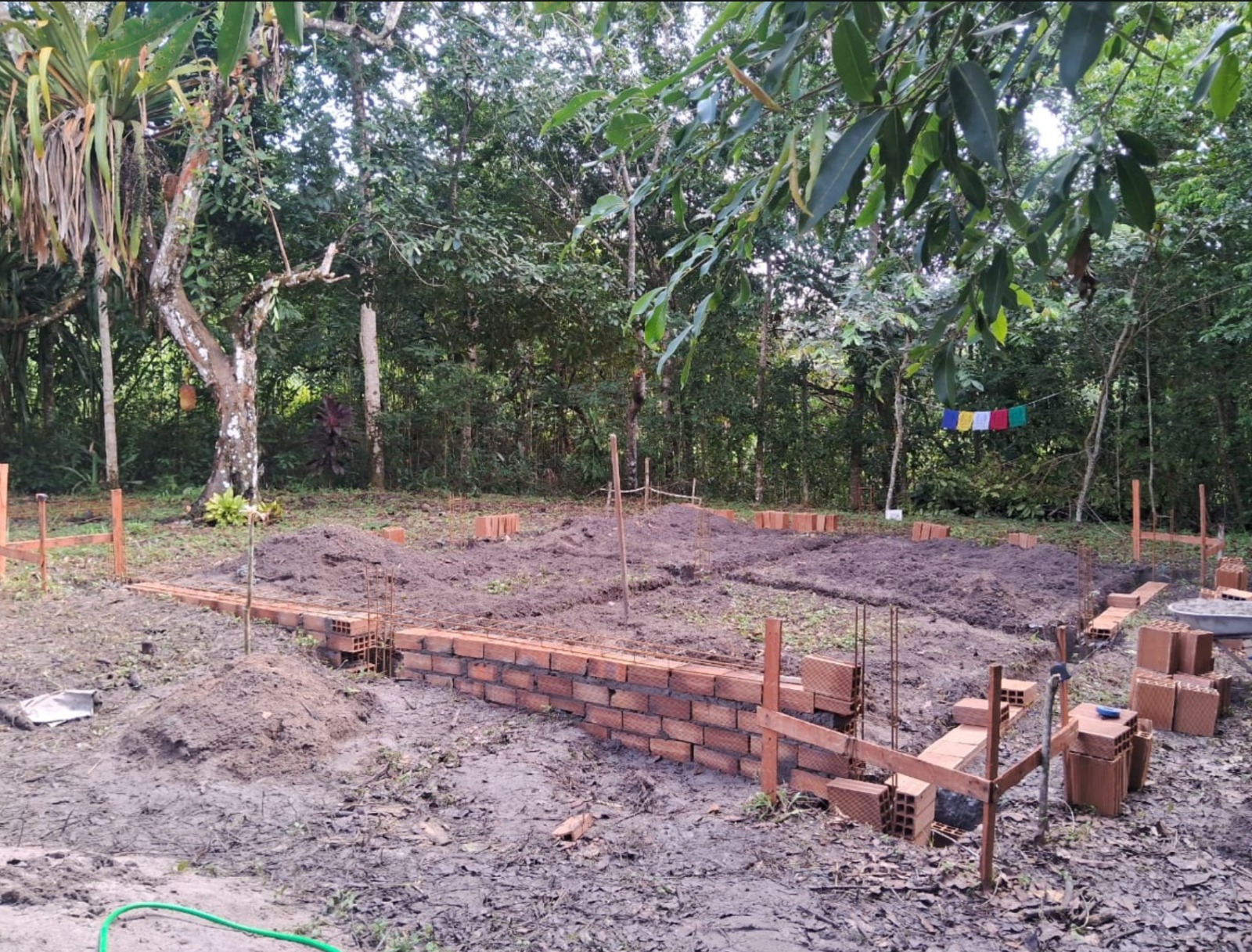 Estrutura