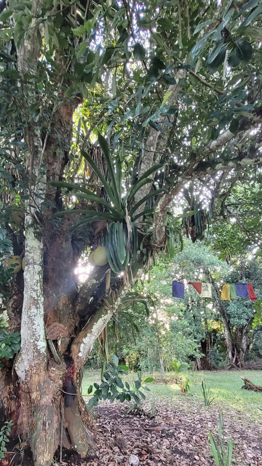 Comunidade e sustentabilidade